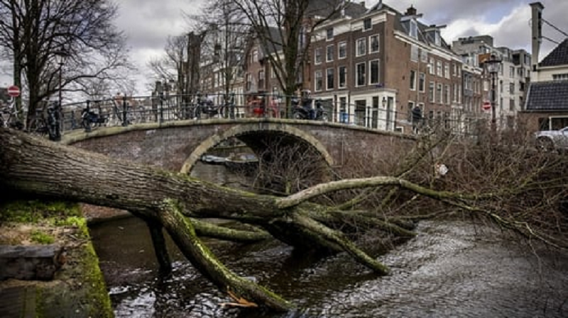 Двајца загинати во силно невреме во Холандија