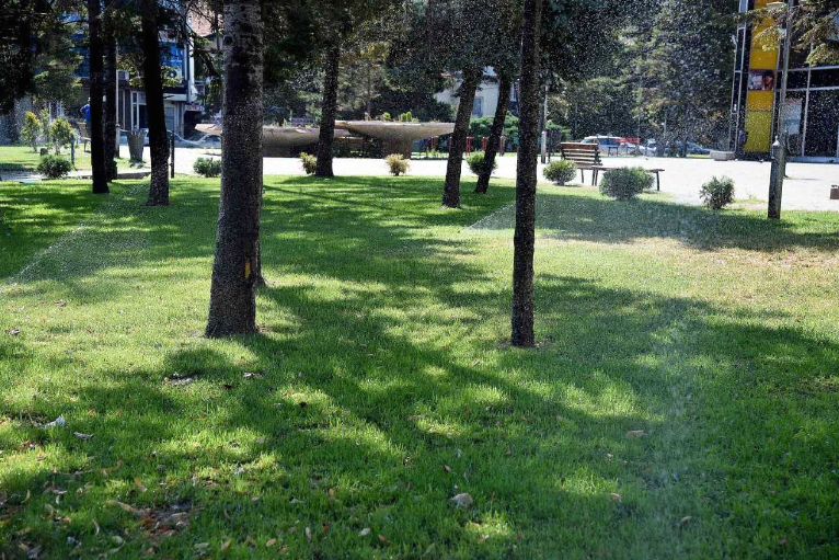 Град Скопје хортикултурно уредува нови зелени јавни површини