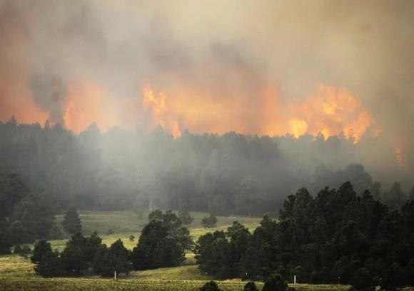 Околу 19.000 луѓе се евакуирани во Колорадо поради шумски пожари