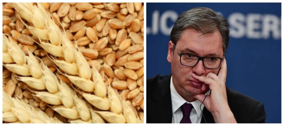 Владата вели дека состојбата со стоковните резерви е стабилна, а бара од Србија испорака на пченица и пченка