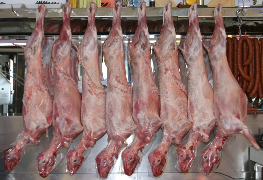 Бугарите се жалат дека поради евтиното јагнешко месо во Македонија е загрозен бизнисот со овци во Бугарија