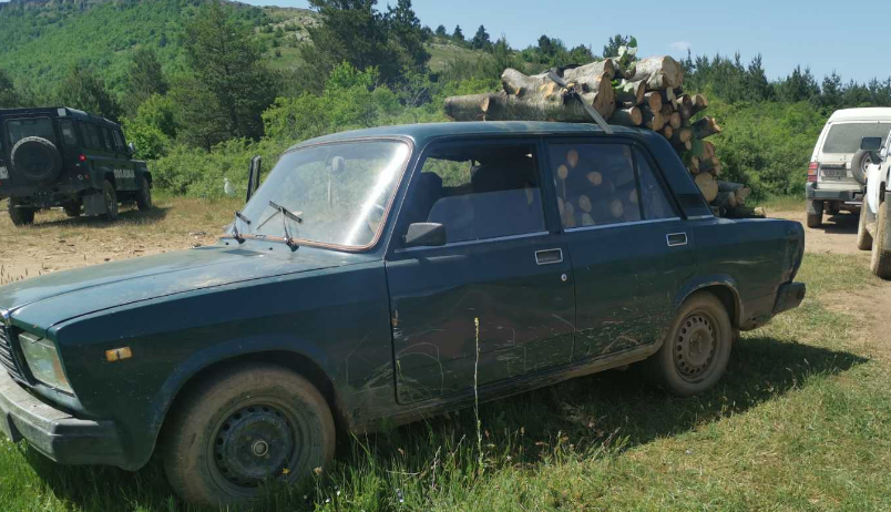 Приведени 16 лица за пустошење на шуми во Прилепско