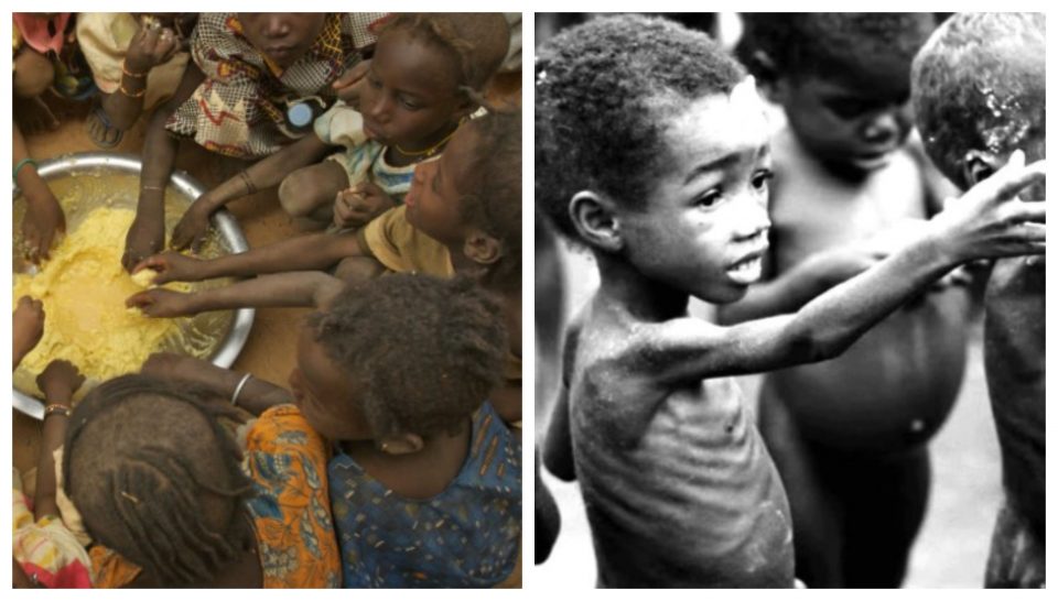 Расте бројот гладни во светот