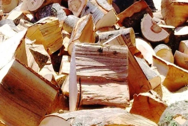 Извозот на огревно дрво од БиХ забранет на 90 дена