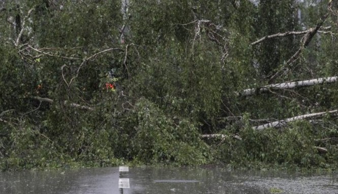 Обилните дождови предизвикаа поплави и несреќи во Чешка
