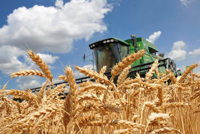 Во мај е зголемен извозот на украински земјоделски производи