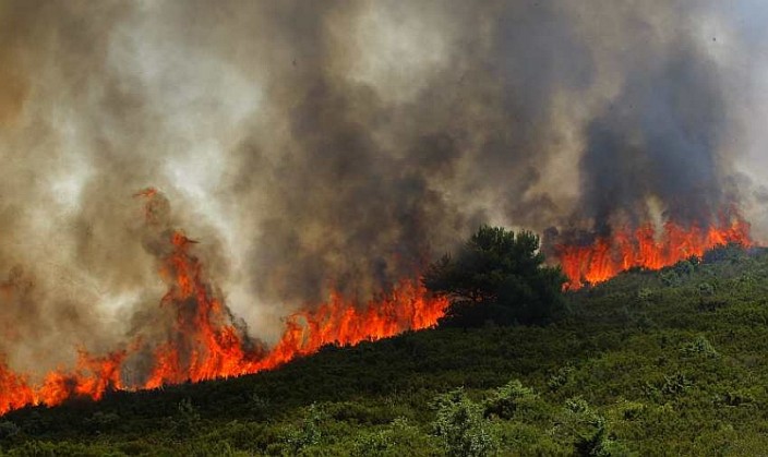 Голем пожар во Хрватска: 40 пожарникари се борат со пламените јазли