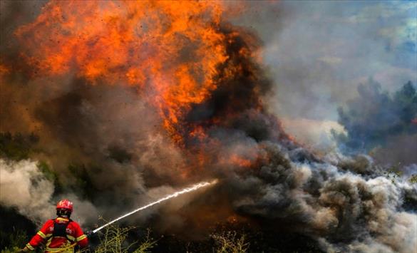 Разорните шумски пожари се шират низ Португалија, Шпанија и Франција