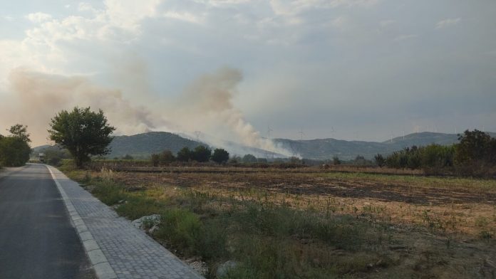 Голем пожар близу Ѓавото кај Богданци, силниот ветер ја влошува ситуацијата