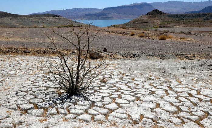 Голема суша во Италија: Цената на храната може да се зголеми за 50 отсто