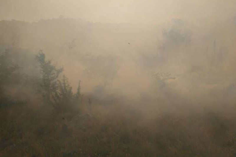 Голем пожар на Криволак: Теренот непристапен, се бара помош од АРМ