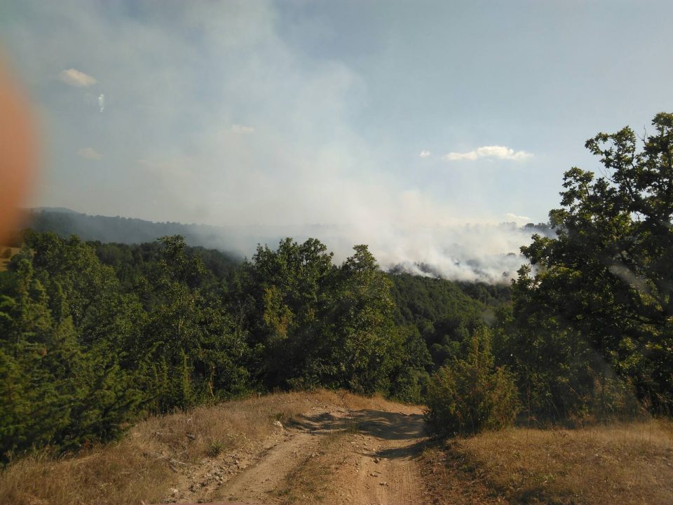 Пожар помеѓу Гевгелија и Богданци, гори нискостеблеста шума