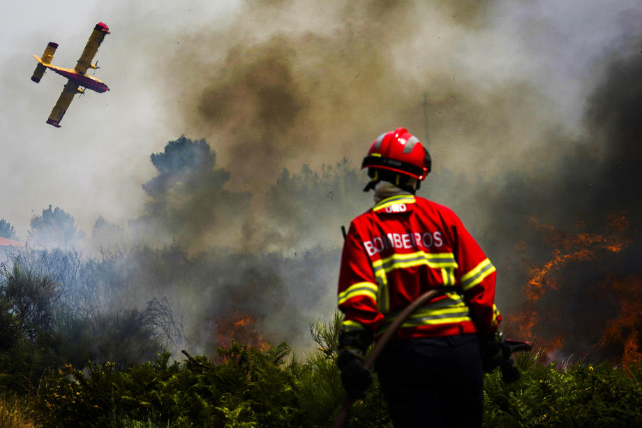 Пожарите во Шпанија за една недела уништија најмалку 60.000 хектари шума