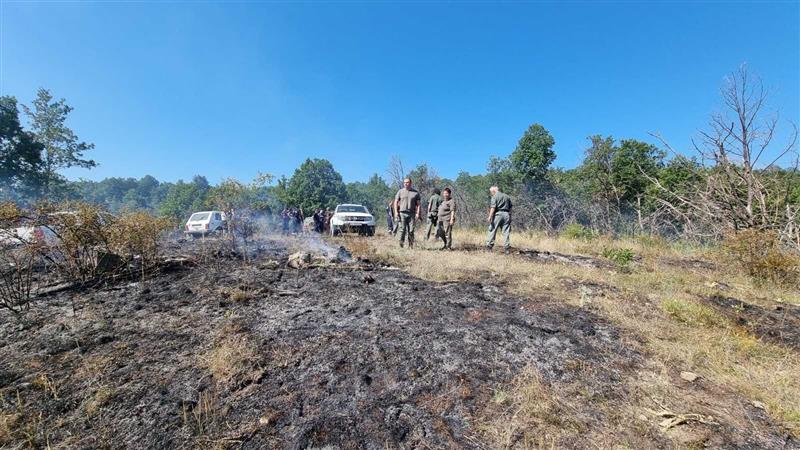 Пожарот во беровско локализиран, досега опожарени 50 хектари дабова и букова шума