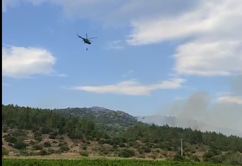 Активен пожарот кај Фурка, изгаснати 12 пожари