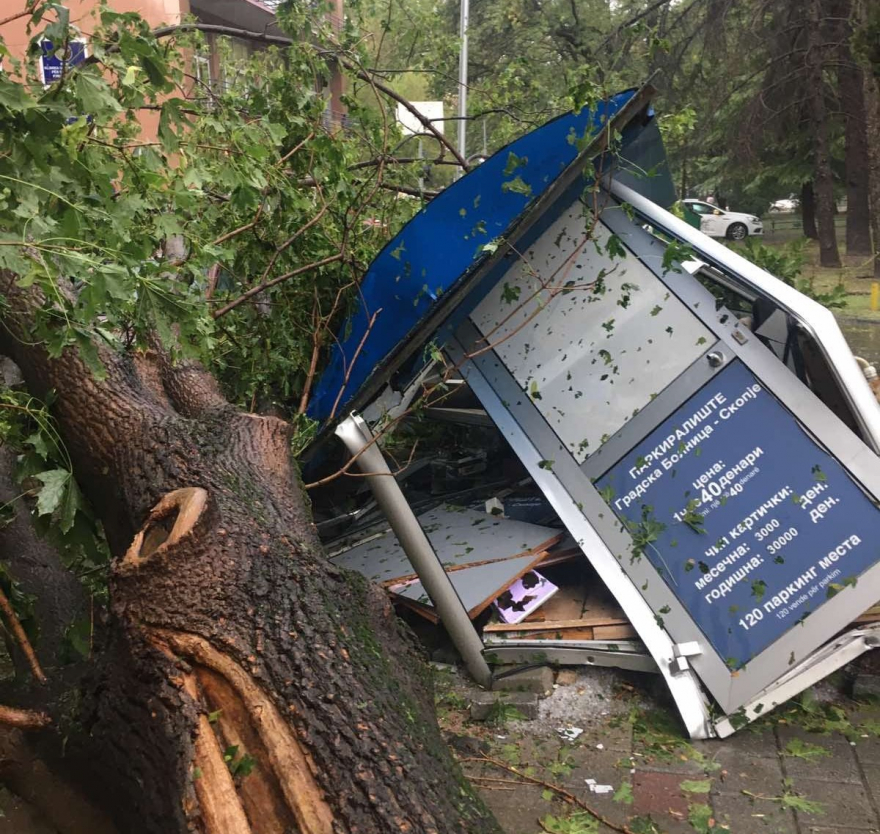 Дрво падна врз објект на „Градски паркинг“, вработениот е во добра здравствена состојба