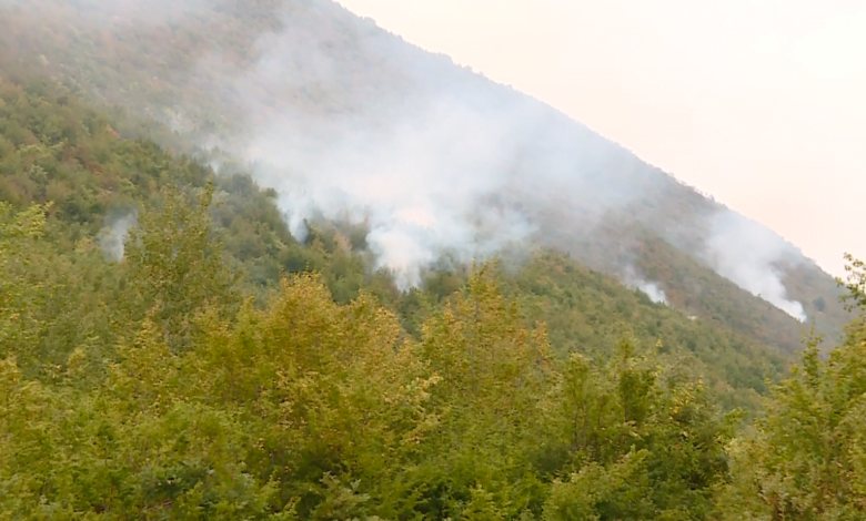 Четири пожари изминатото деноноќие во Куманово и Старо Нагоричане