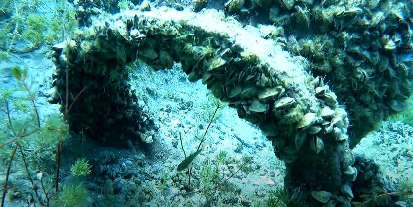 (ВИДЕО): Погледнете го подводното културно наследство во Охридското Езеро