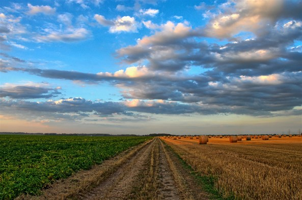 Странците од 1 јули ќе може да купуваат земјоделско земјиште во Хрватска без ограничувања
