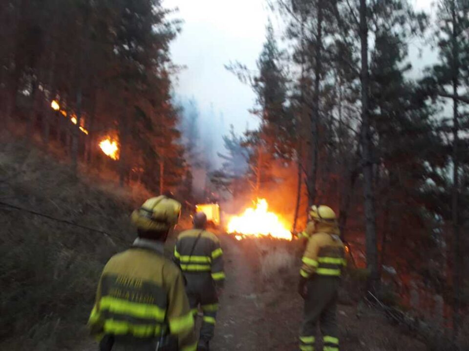 Во Шпанија повторно избувна шумски пожар, евакуирани две села