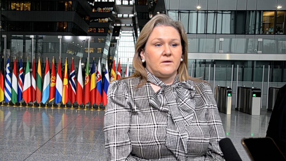Петровска: Предметот на донација е сè уште во фаза на преговори со украинската страна