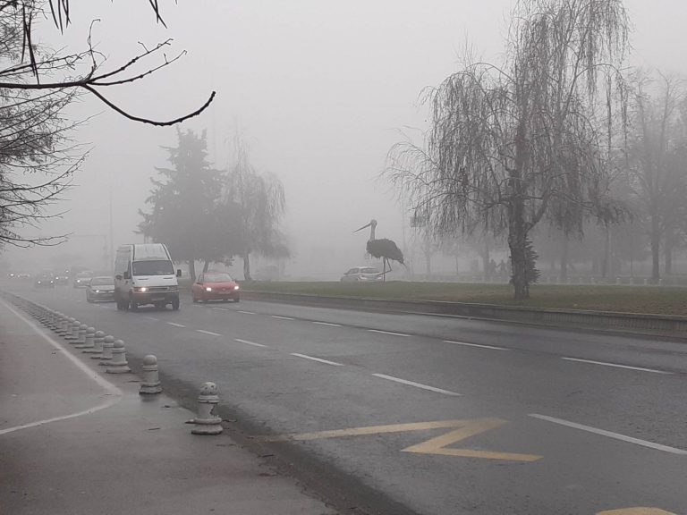 Во Скопје во 2022 година над сто дена биле со загаден воздух