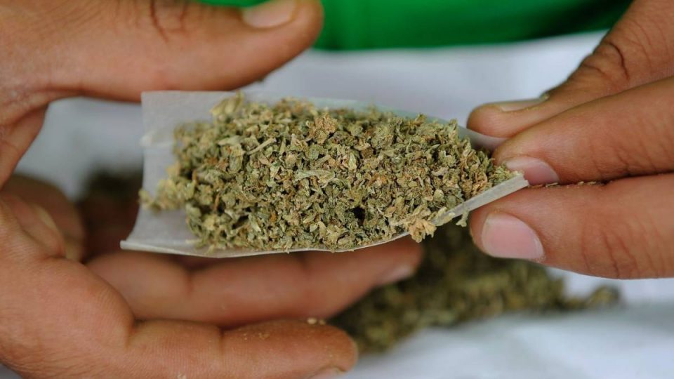 Битолчанец фатен со марихуана во Прилеп