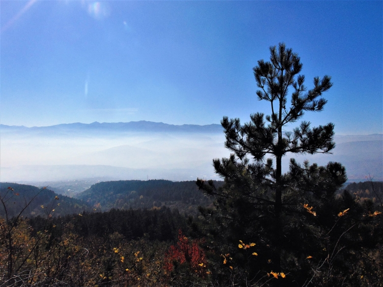 (ФОТО) Маглата ја снема, но смогот остана: Скопје на петтото место по загаденост во светот