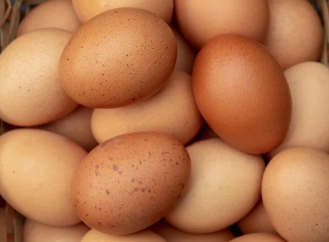 Цената на јајцата во ЕУ за една година во просек зголемени за 30 проценти