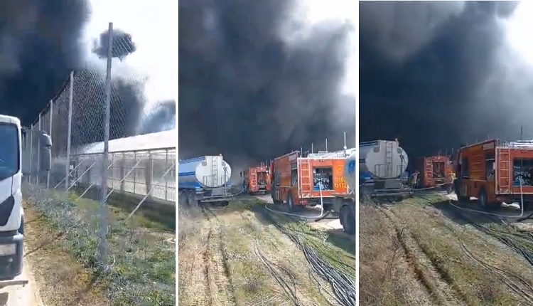 (ВИДЕО) Голем пожар во кавадаречко: На терен се излезени 25 пожарникари со 10 возила