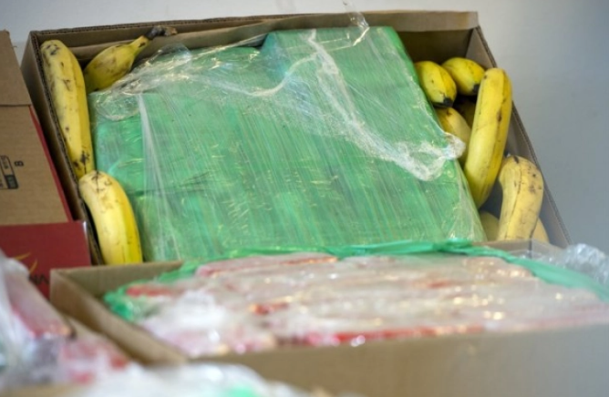Германската полиција заплени кокаин кој се пренесувал во кутии со банани