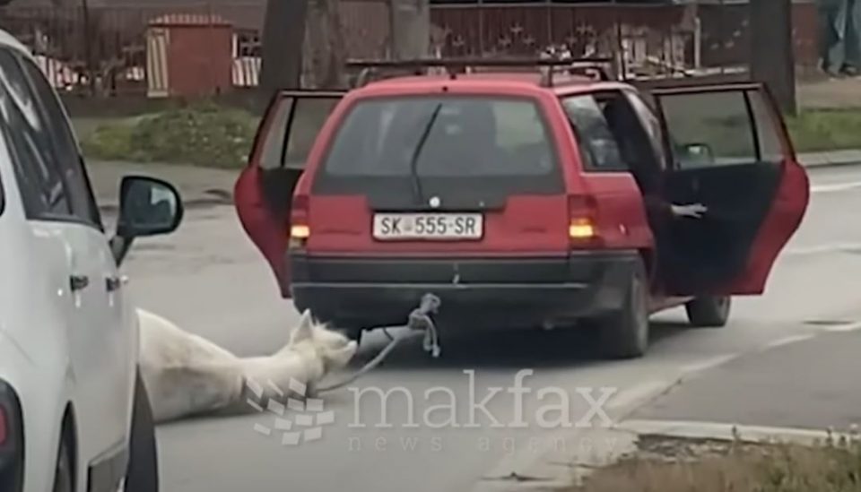 (ВИДЕО) МОНСТРУОЗНО: Автомобил влече изнемоштен коњ врзан за кука