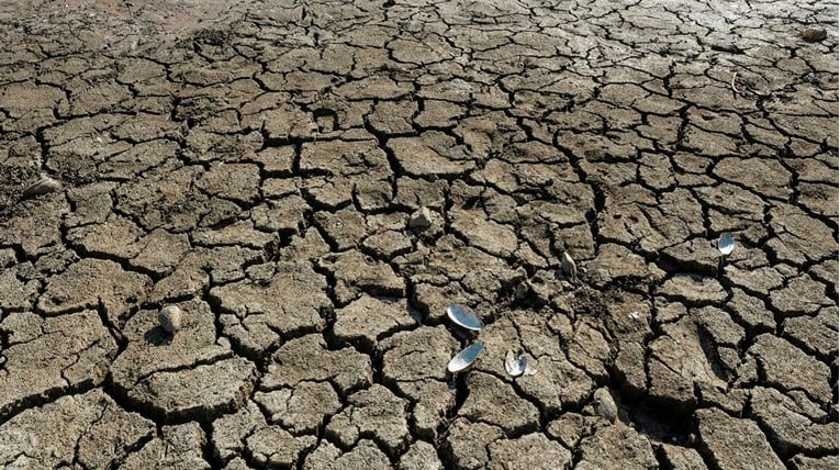 Португалија бара помош од ЕУ поради големата суша