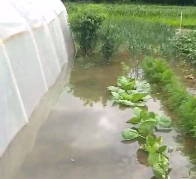 Врнежите од дожд го зголемија нивото на Кочанска река – во Облешево поплавени ниви