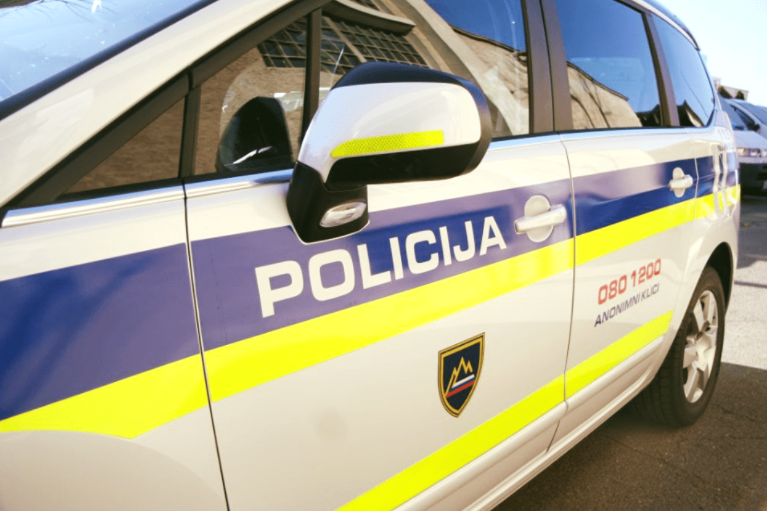 Уапсена мајката на детето кое почина откако два часа било оставено во автомобил на сонце во Словенија