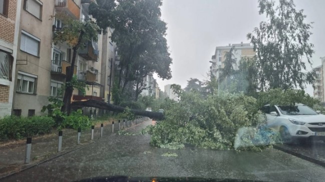 Поплавени подруми, улици и подвозници, паднати дрвја и скршени бандери по невремето во Скопје