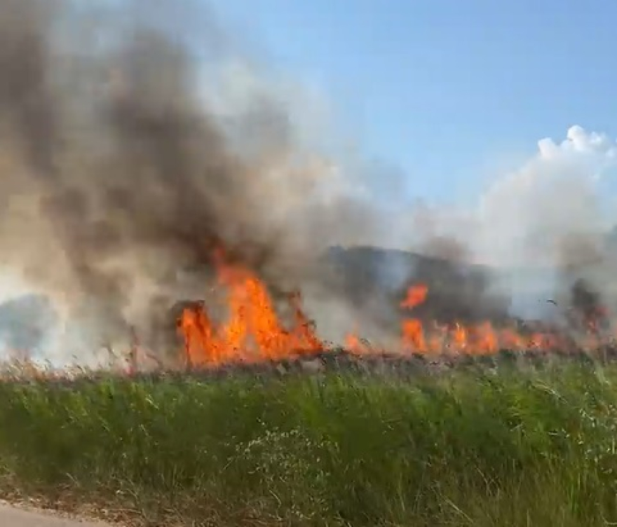 (ВИДЕО) 37 пожарникари со 12 возила на терен во Халкидики: Се гасне пожар кој избил помеѓу Метаморфози и Никити