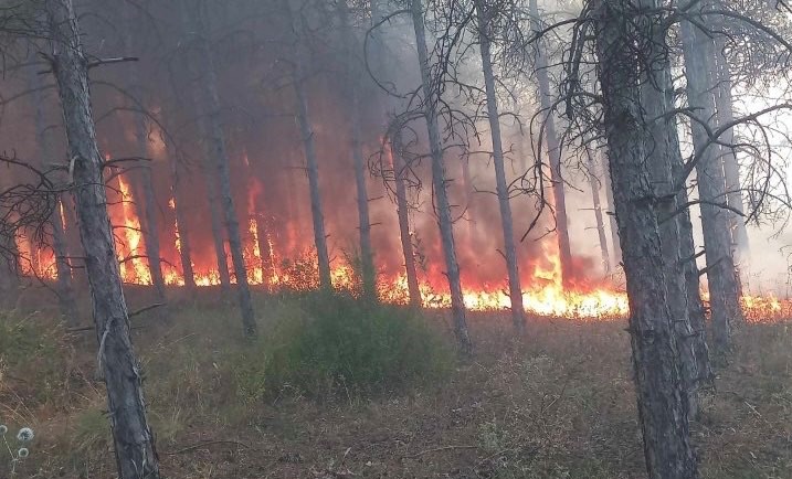 Ангелов: Под Контрола се пожарите во Неготино и Демир Капија