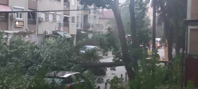 Силно невреме попладнево го зафати главниот град, паднато дрво, врнежи и електрични празнења