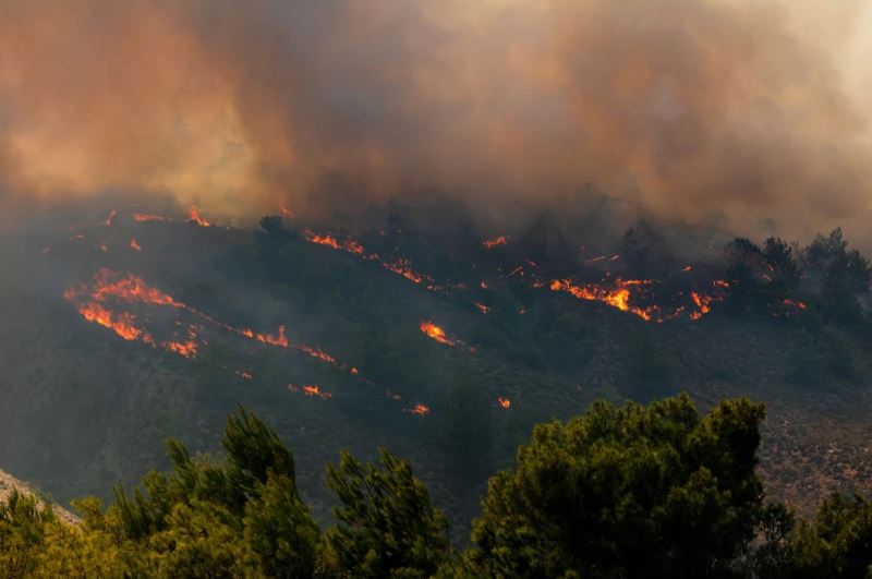 18 јагленосани тела пронајдени во шума во Грција