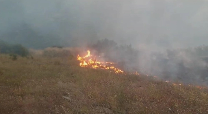 Пожарот кај Богданци се уште не е ставен под контрола