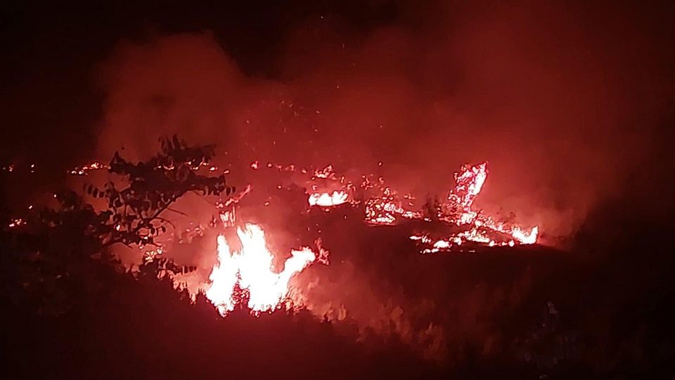 Локализиран е пожарот кај Брушани