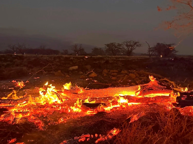 (ВИДЕО) Смртниот баланс од катастрофалните пожари на Хаваи се искачи на 53