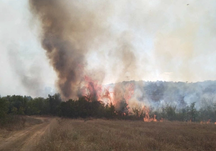 Активен пожар во општина Липково, вчера имало 29 пожари