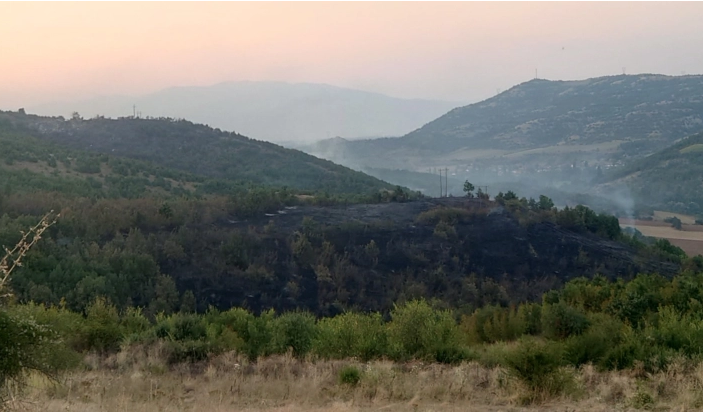 Голем пожар на отворено кај Струмица, гори површина од околу 20 хектари