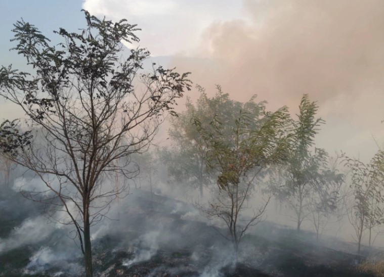 Пожарот на истокот изгаснат, но три активни пожари има во скопско и Студеничани