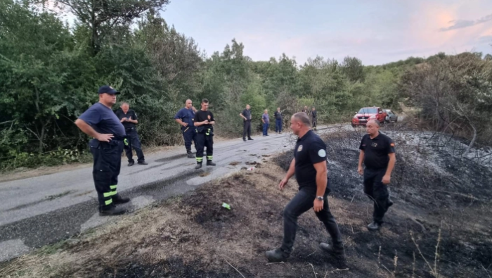 Изгаснат пожарот во близина на езерото Мантово