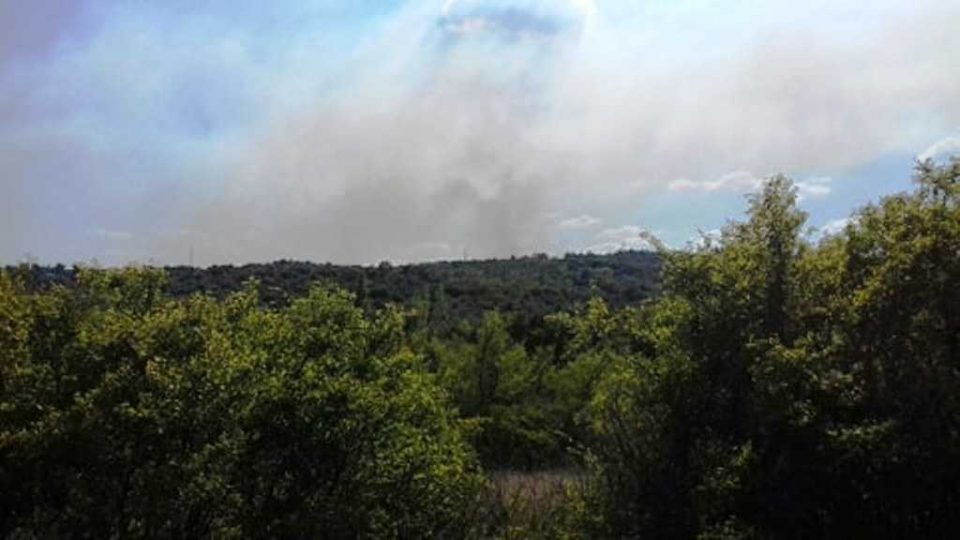 Изгорена над 500 хектари нискостеблеста шума во Богданци, но проценките се дека може да биде многу повеќе