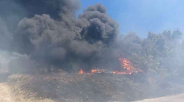 Шумски пожар во атарот на село Ореше