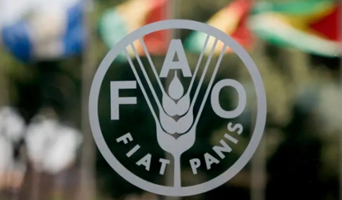 ФАО: Светските цени на храната стабилни во септември